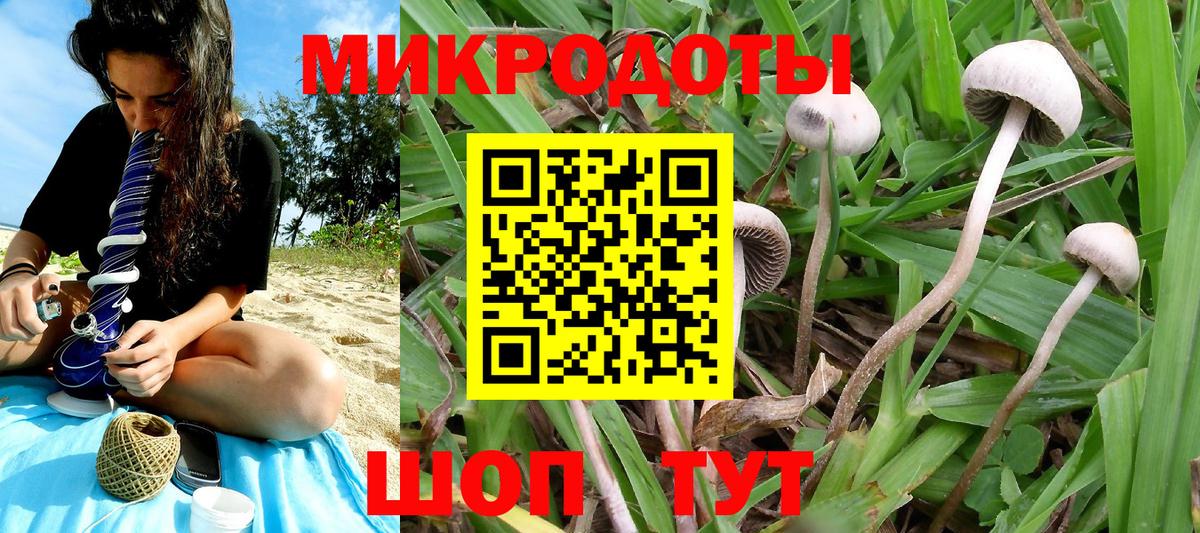 Галлюциногенные грибы Psilocybe Котельники